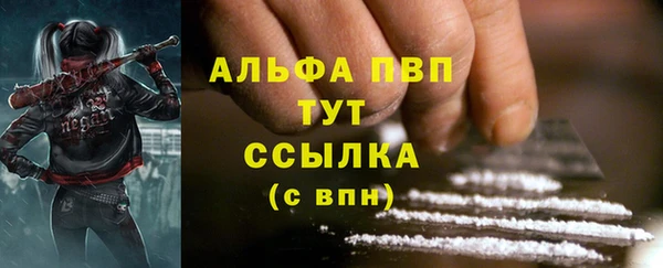 молекула духа Белоозёрский