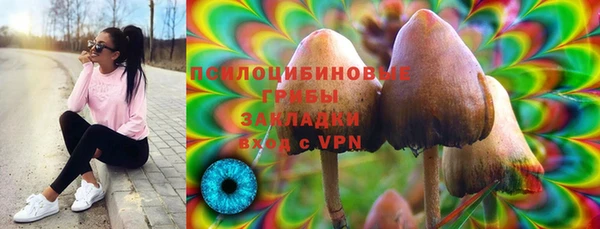 не бодяженный Белокуриха