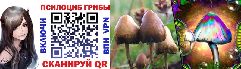 дарнет шоп Конаково Галлюциногенные грибы Cubensis